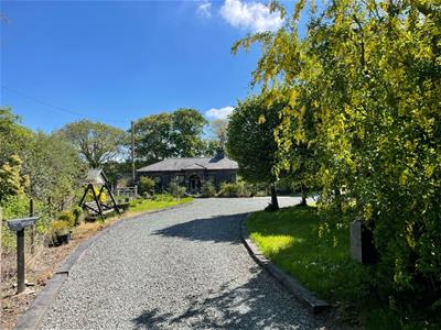 Picture 25